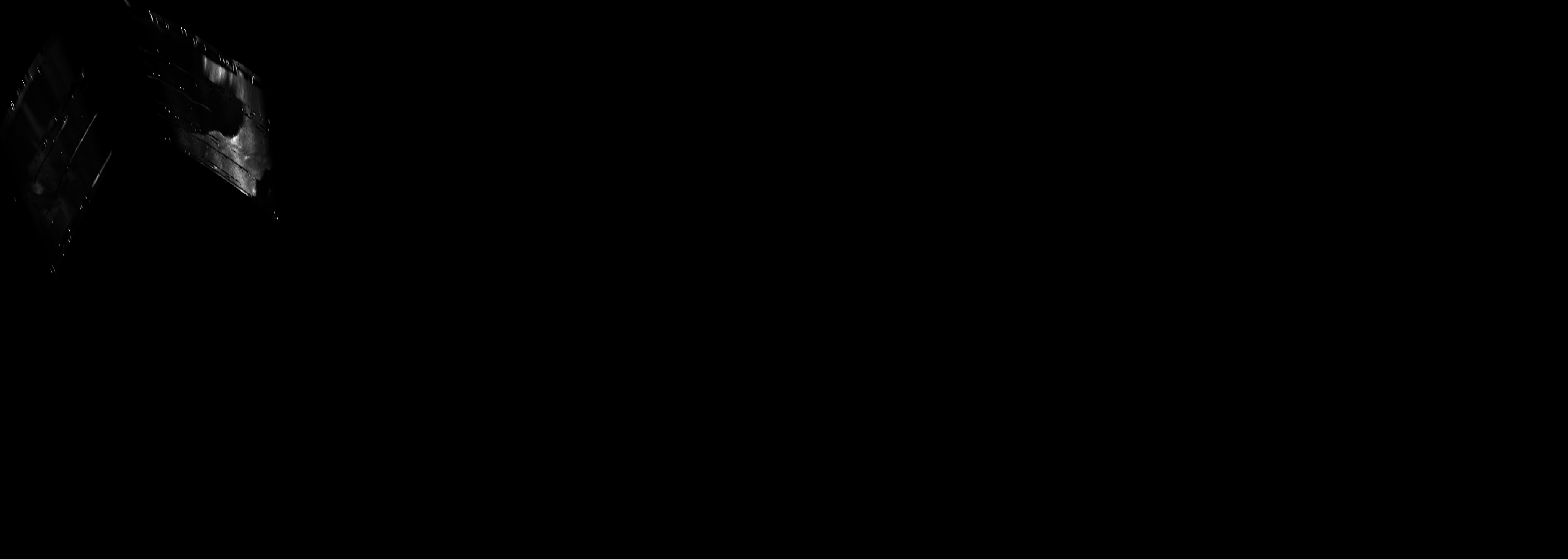 ascat_grayscale_proj_backward.png